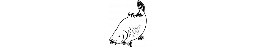 Kaprarina
